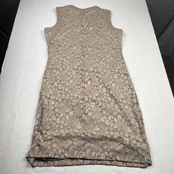 Calvin Klein Lace Ruched Sheath Dress Beige Back Zip Sleeveless Work Size 10 - Picture 9 of 10